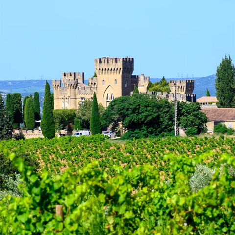 Das Schloss Chateauneuf-du-Pape mit chrakterischen Weinbergen im Vordergrund im Rhône-Tal, Frankreich