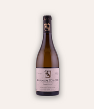 Load image into Gallery viewer, Domaine Fabien Coche Bourgogne Côte d&#39;Or Chardonnay 2021
