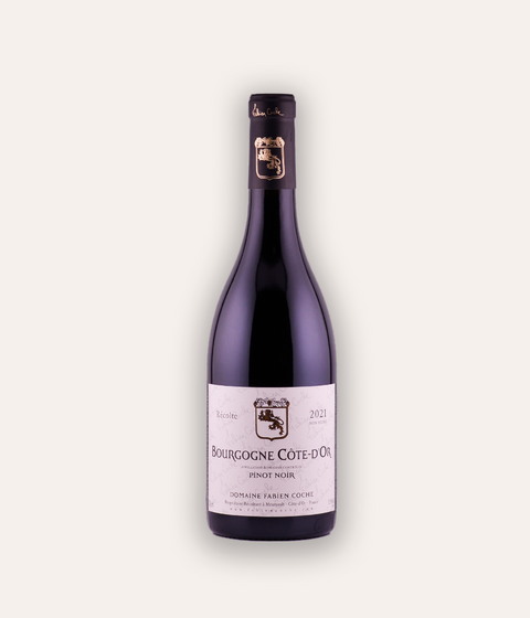 Domaine Fabien Coche Bourgogne Cote d'Or Pinot Noir 2021