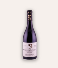 Load image into Gallery viewer, Domaine Fabien Coche Bourgogne Cote d&#39;Or Pinot Noir 2021
